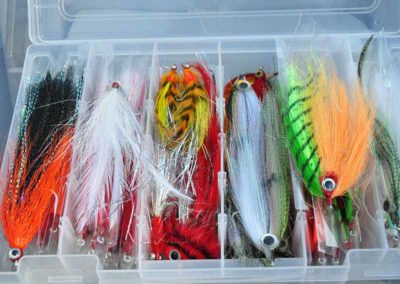 Peacock bass lures