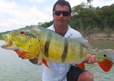 A beauty! Amazing peacock bass fishing in Brazil